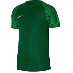 Koszulka piłkarska Nike Dri-Fit Academy JSY Jr DH8369 302
