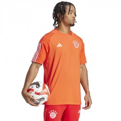 Koszulka adidas FC Bayern CO Tee IQ0601