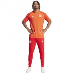 Koszulka adidas FC Bayern CO Tee IQ0601