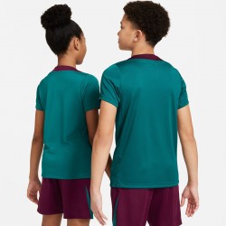 Koszulka Nike PSG Strike SS Top Jr FN9862-382