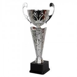 Puchar Tryumf W1372 srebrny